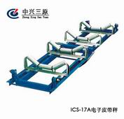 電子皮帶秤(生物質(zhì)發(fā)電工程) 電子皮帶秤(生物質(zhì)發(fā)電工程)